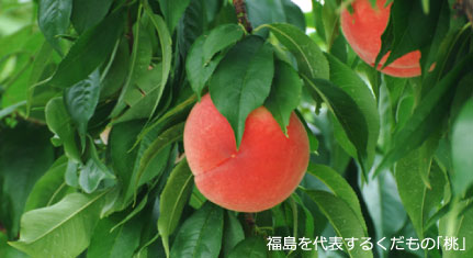 photo01